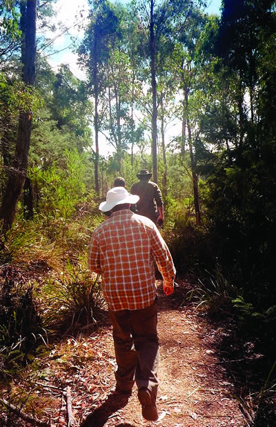 CVA Volunteers in Tasmania, Australia.
