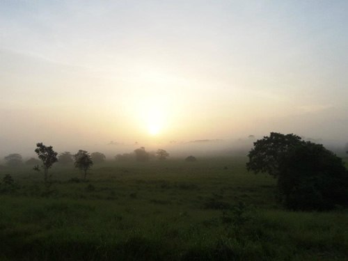 Walking through jungle