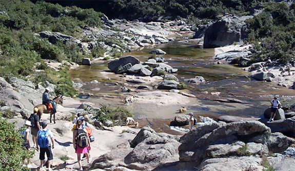 Hiking in the Sierras