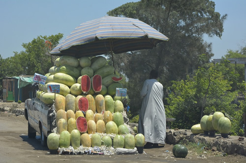 Watermelon vendor in Egypt