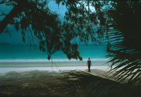 Mexican Beach